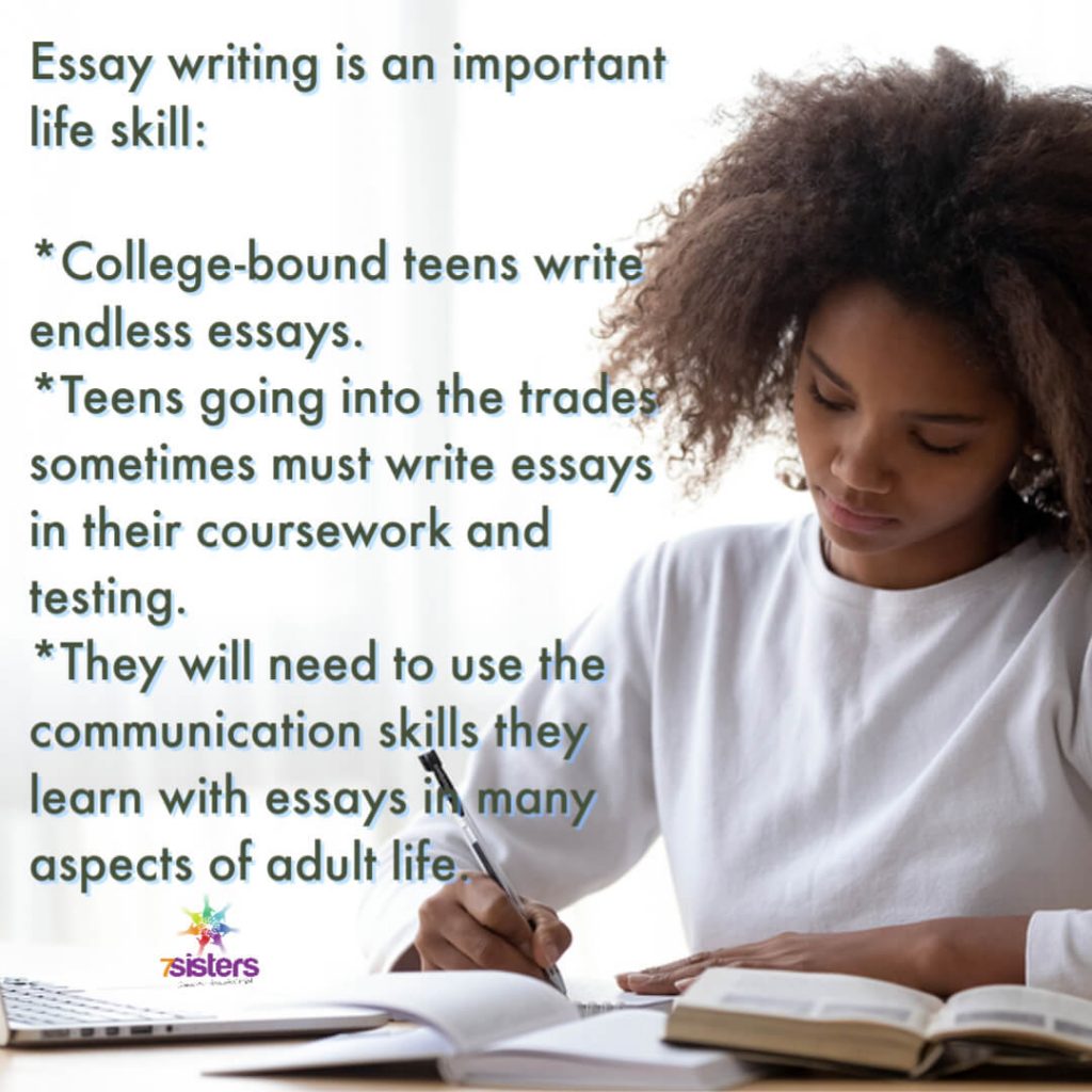 How To Make Money From The professional essay writers Phenomenon