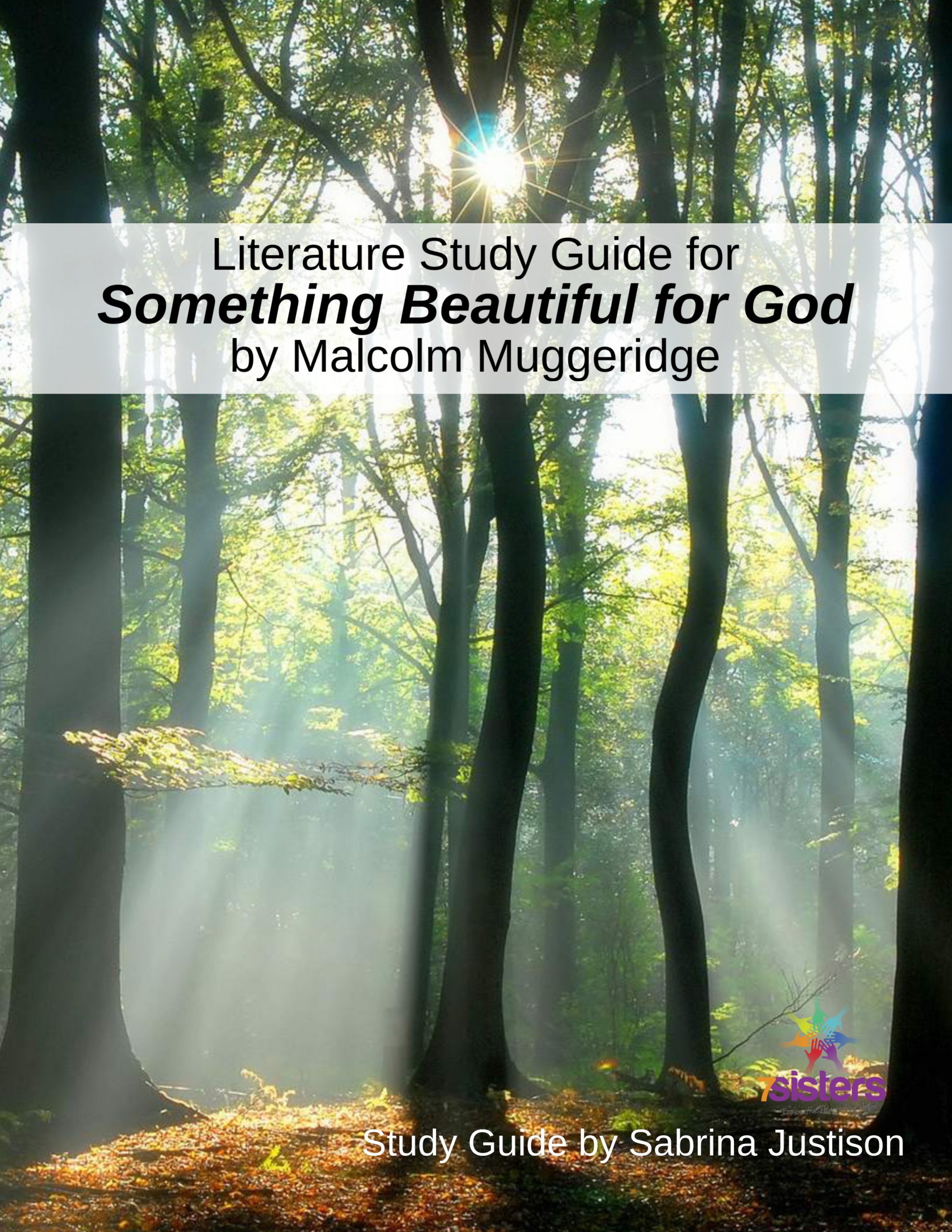 Something Beautiful for God Study Guide