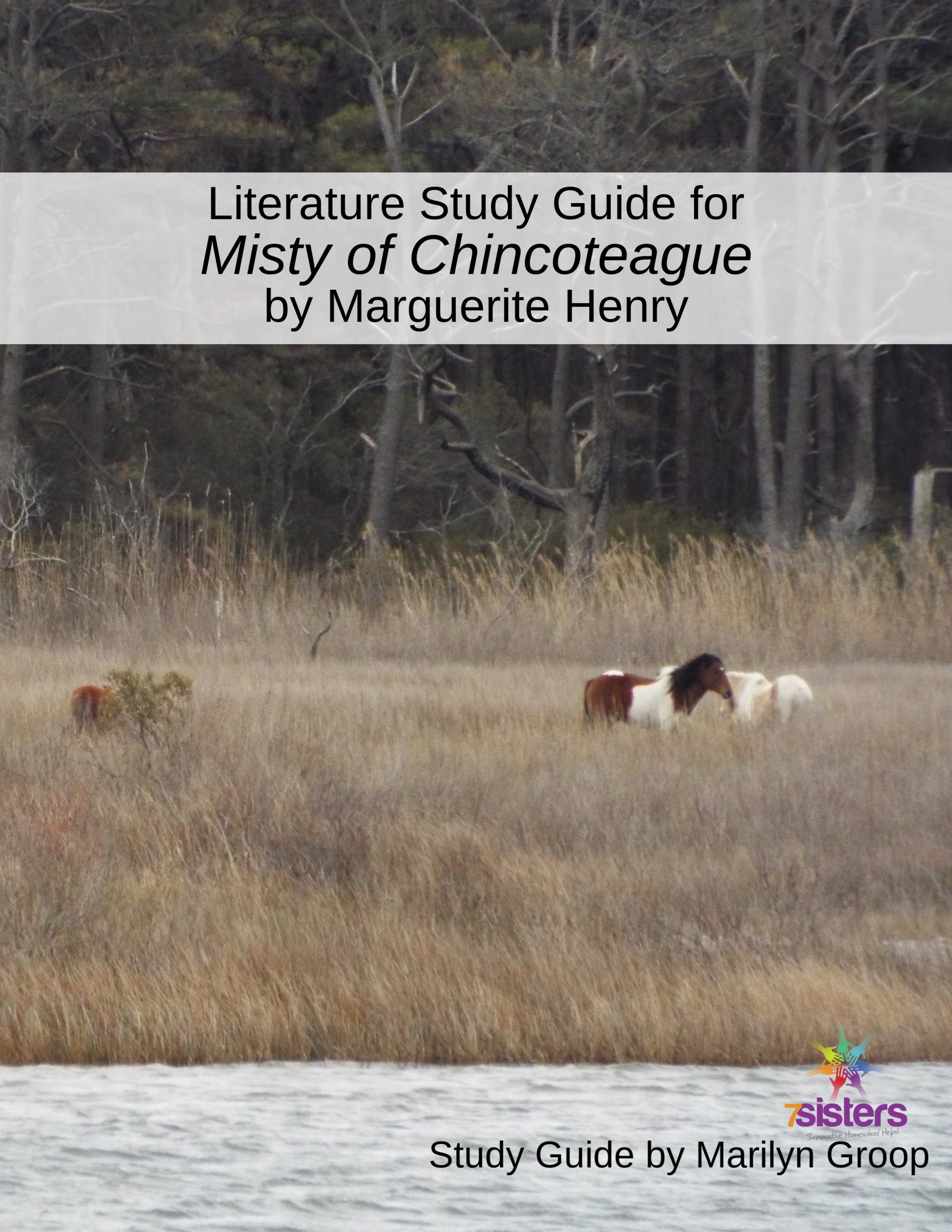 Misty of Chincoteague Literature Study Guide 7SistersHomeschool