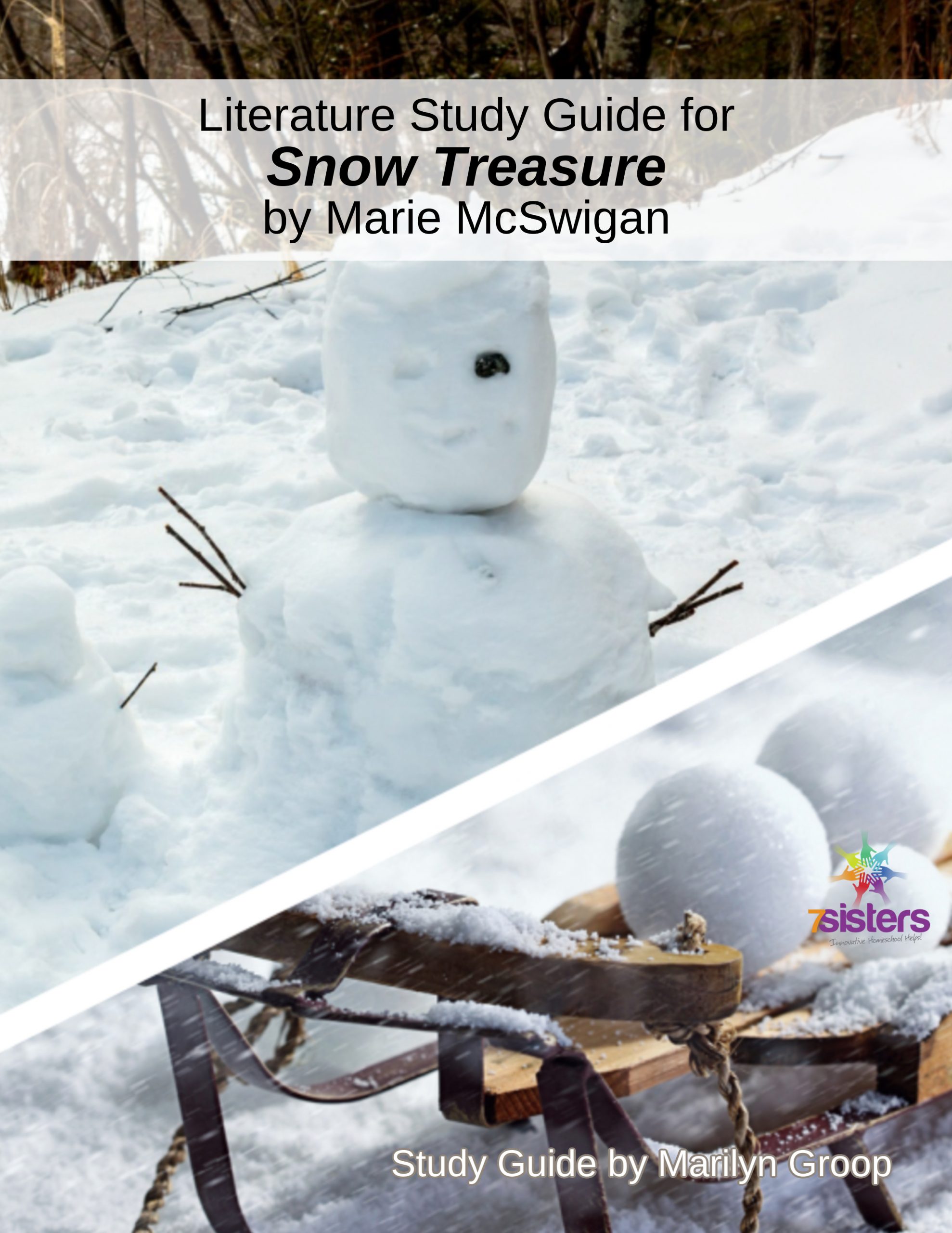 Snow Treasure Literature Study Guide