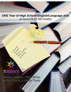 One Year of High School English Language Arts a good fit for 9th grade